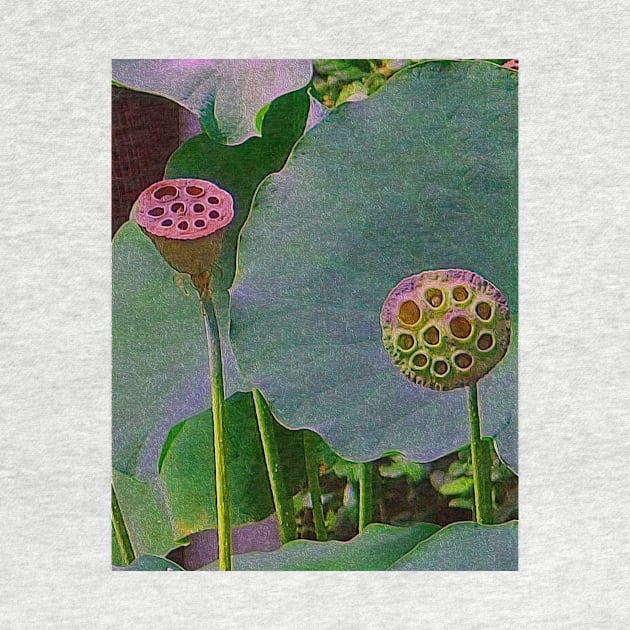 Alchemia, Lotus Seed heads (Just the Two of Us) by Alchemia